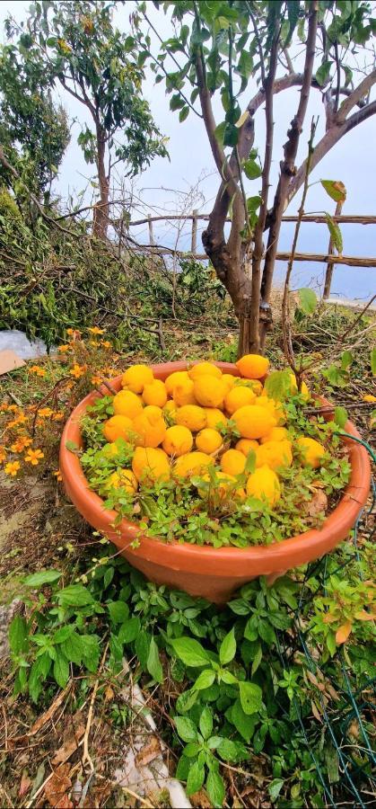 Solecore Amalficoast Villa กองกาเดมารีนี ภายนอก รูปภาพ